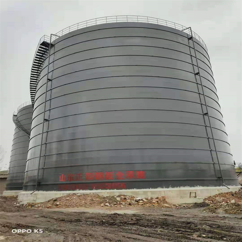 文圣3万吨大型钢板库