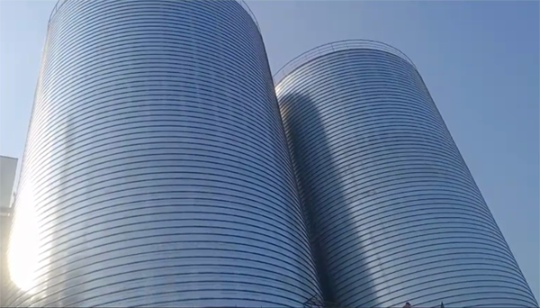 文圣2座混凝土高架卷板仓